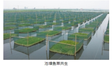 ���ι���|UB8���ι���|��������δ��