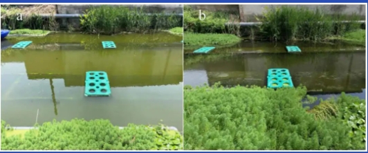 ���ι���|UB8���ι���|��������δ��