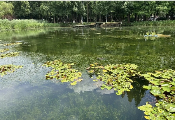 ���ι���|UB8���ι���|��������δ��