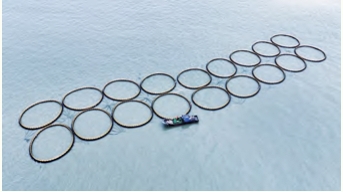 ���ι���|UB8���ι���|��������δ��