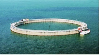 ���ι���|UB8���ι���|��������δ��