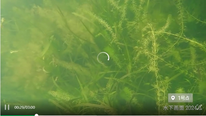 ��Ŀչʾ�����ϴ�ѧ������У����ˮ������̬����������Ŀ��Ƶ