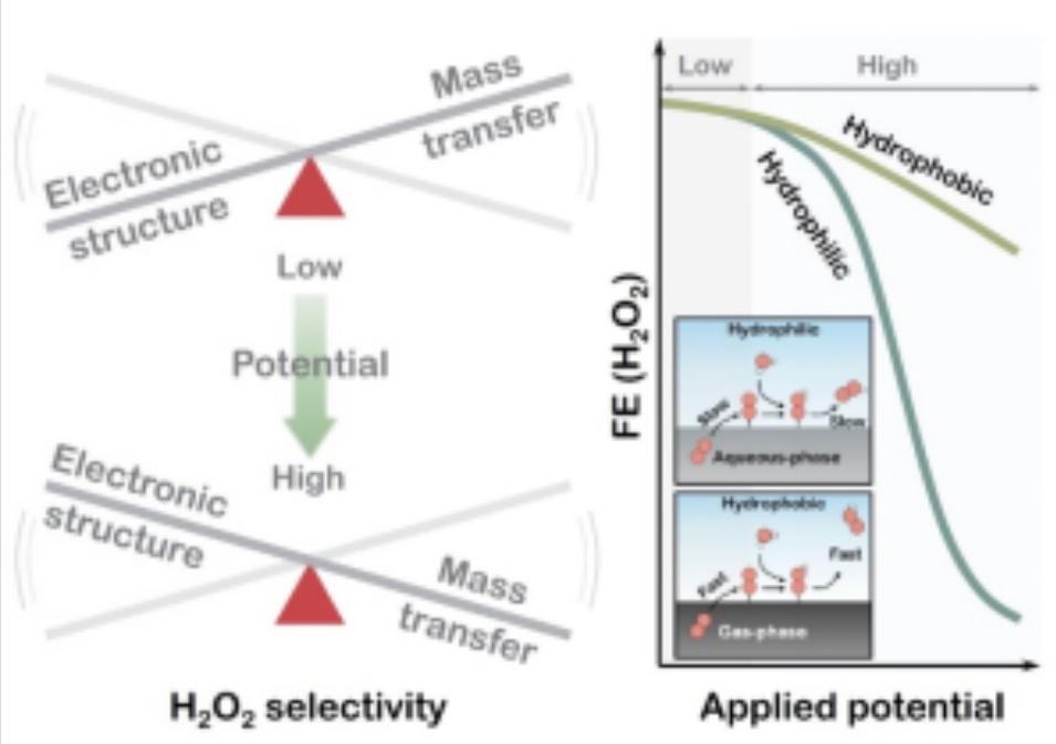 ���ι���|UB8���ι���|��������δ��