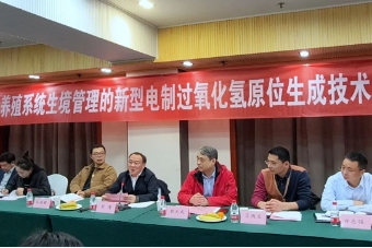 ���ι���|UB8���ι���|��������δ��