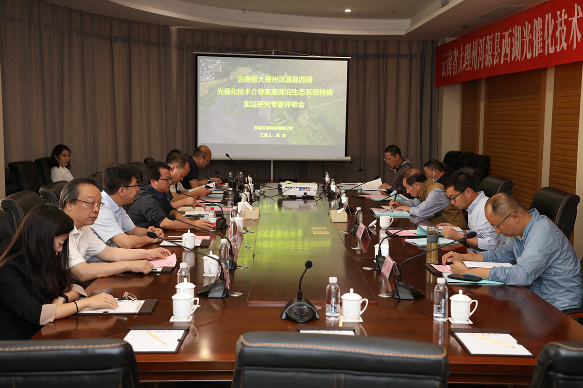 PMAES���ո�ԭ��������Ӧ�������